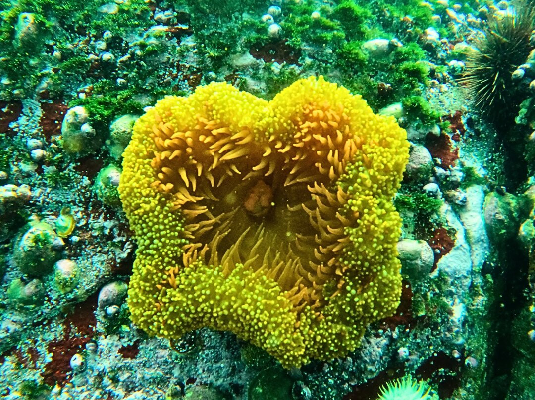 Sb Divers-利马必去景点