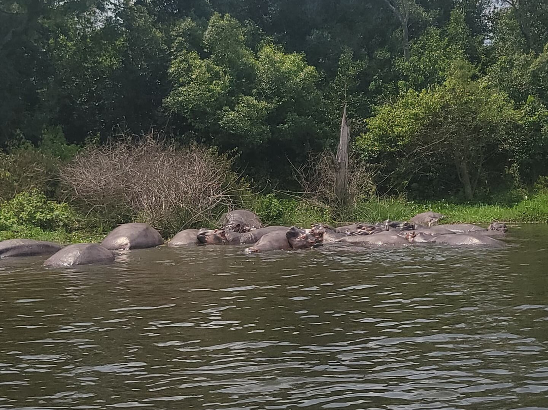 Beverly safaris africa-坎帕拉必去景点