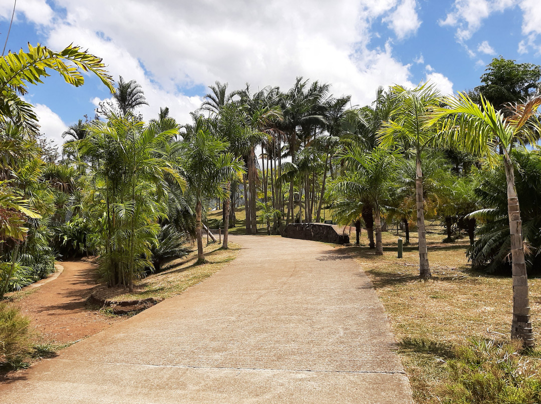 Parc des Palmiers景点图片