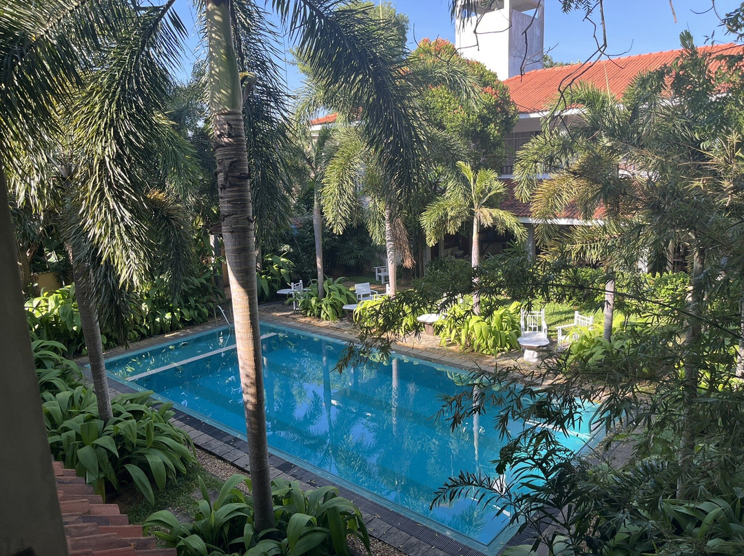 The Wild Heaven主图