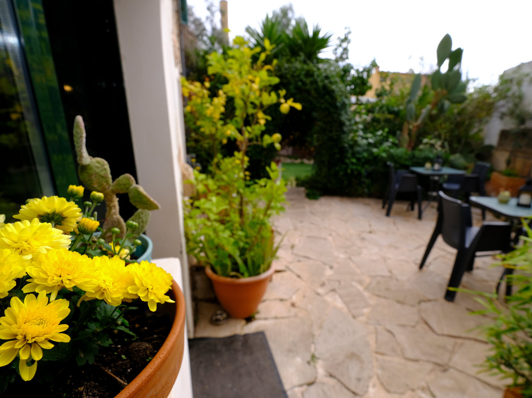 Casa Caimari Guest House主图