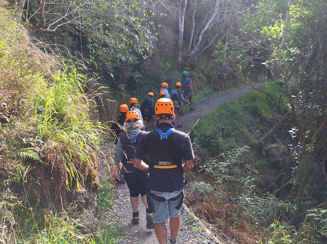 Eco Zip Line Kaikoura N.z.景点图片