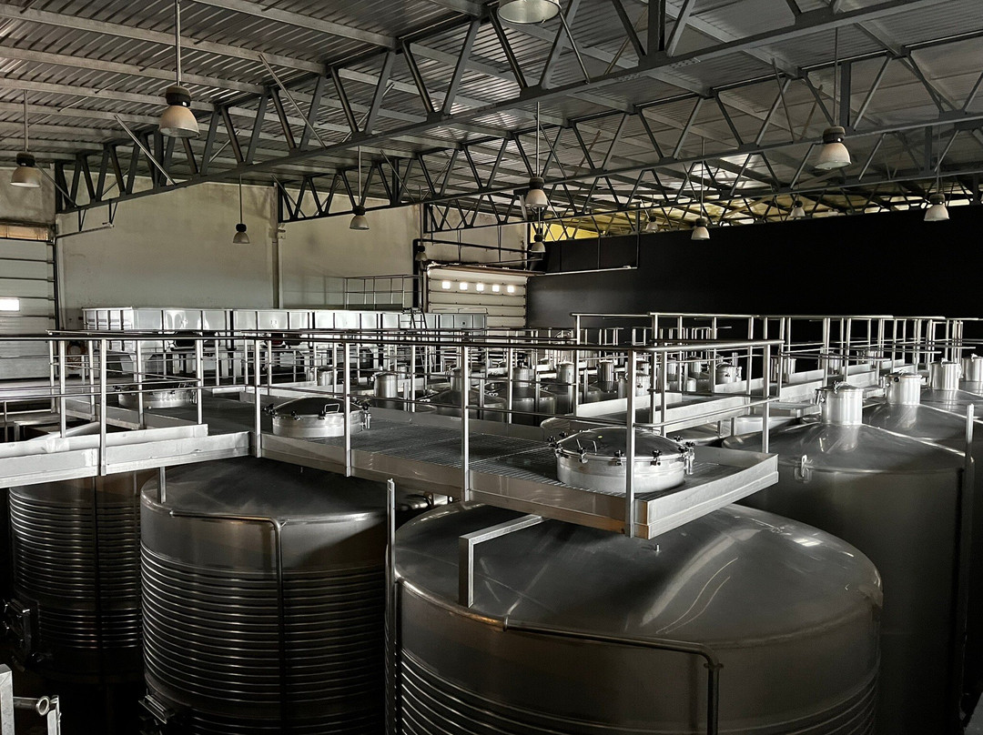 Tiago Cabaço Winery景点图片