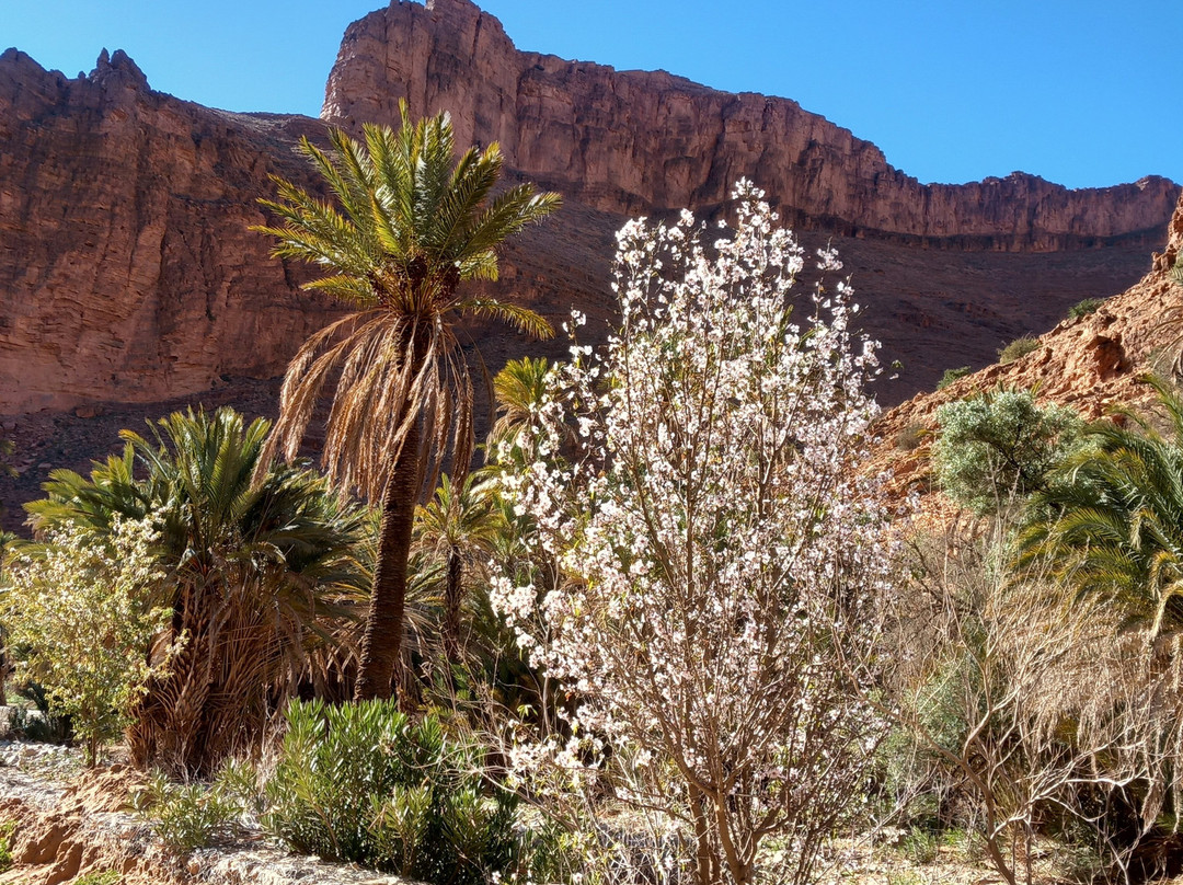 Zafrani-Taliouine必去景点
