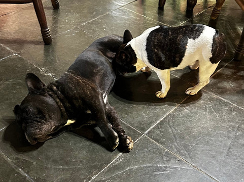 Pousada Mirante Santo Antonio主图