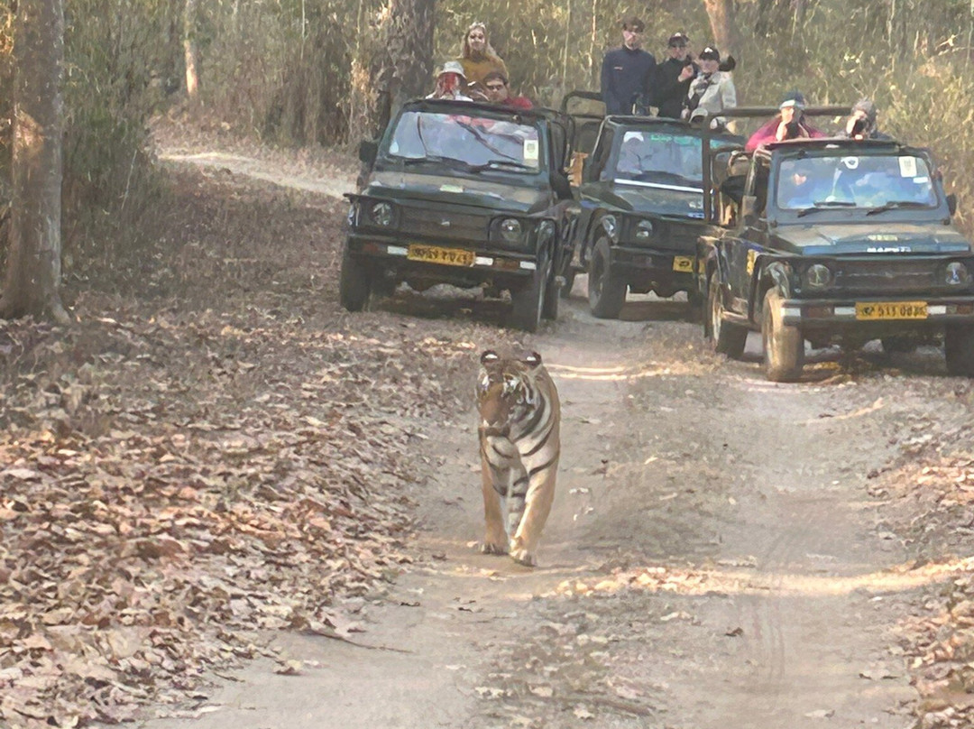 Banjaar Tola - A Taj Safari - Kanha National Park主图
