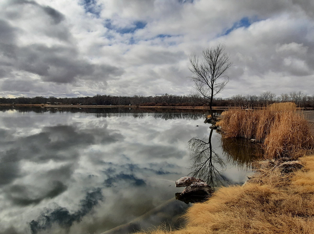Confluence Park景点图片
