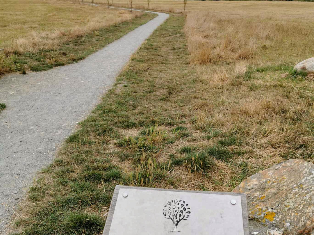 Cherry Orchard Jubilee Country Park景点图片