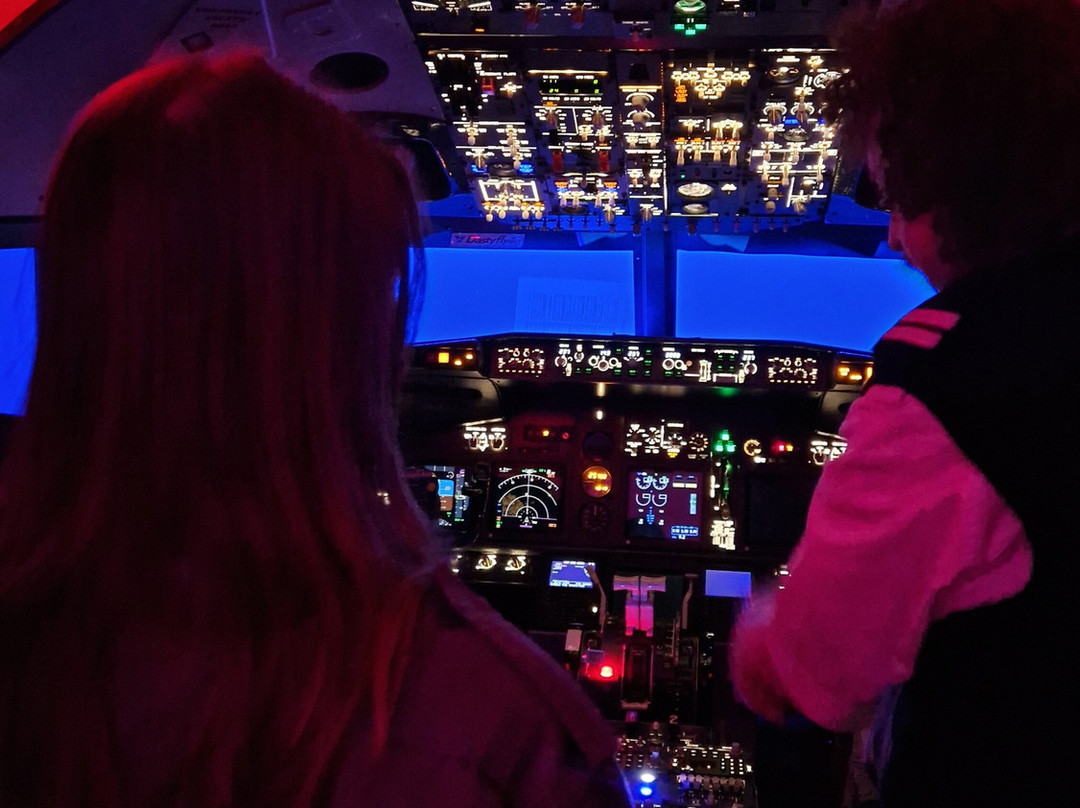 Dastyflysim - Professional Flight Simulator景点图片