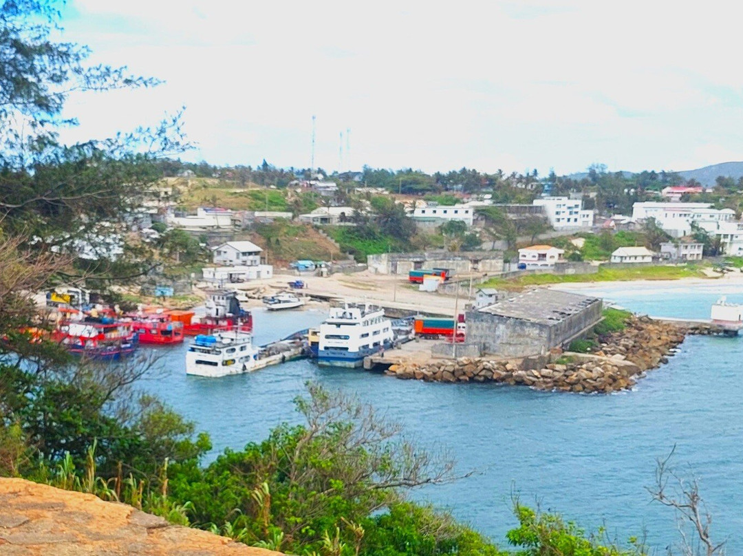 Le Vieux Port Français景点图片