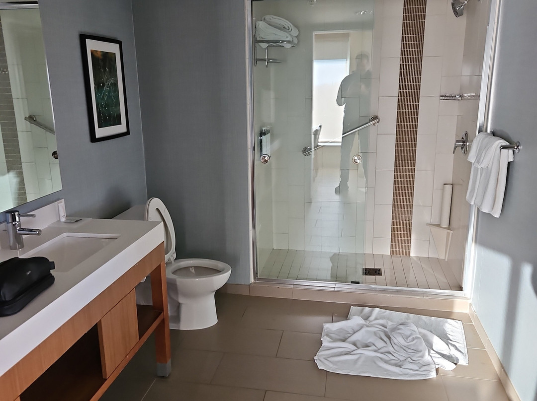 哈亚特帕拉斯香滨/厄巴纳酒店主图