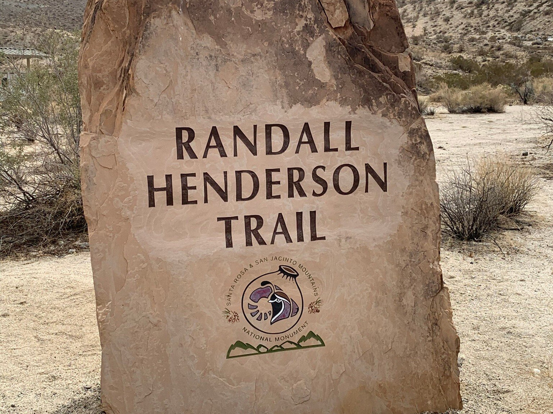 Randall Henderson Loop Trail-棕榈沙漠必去景点