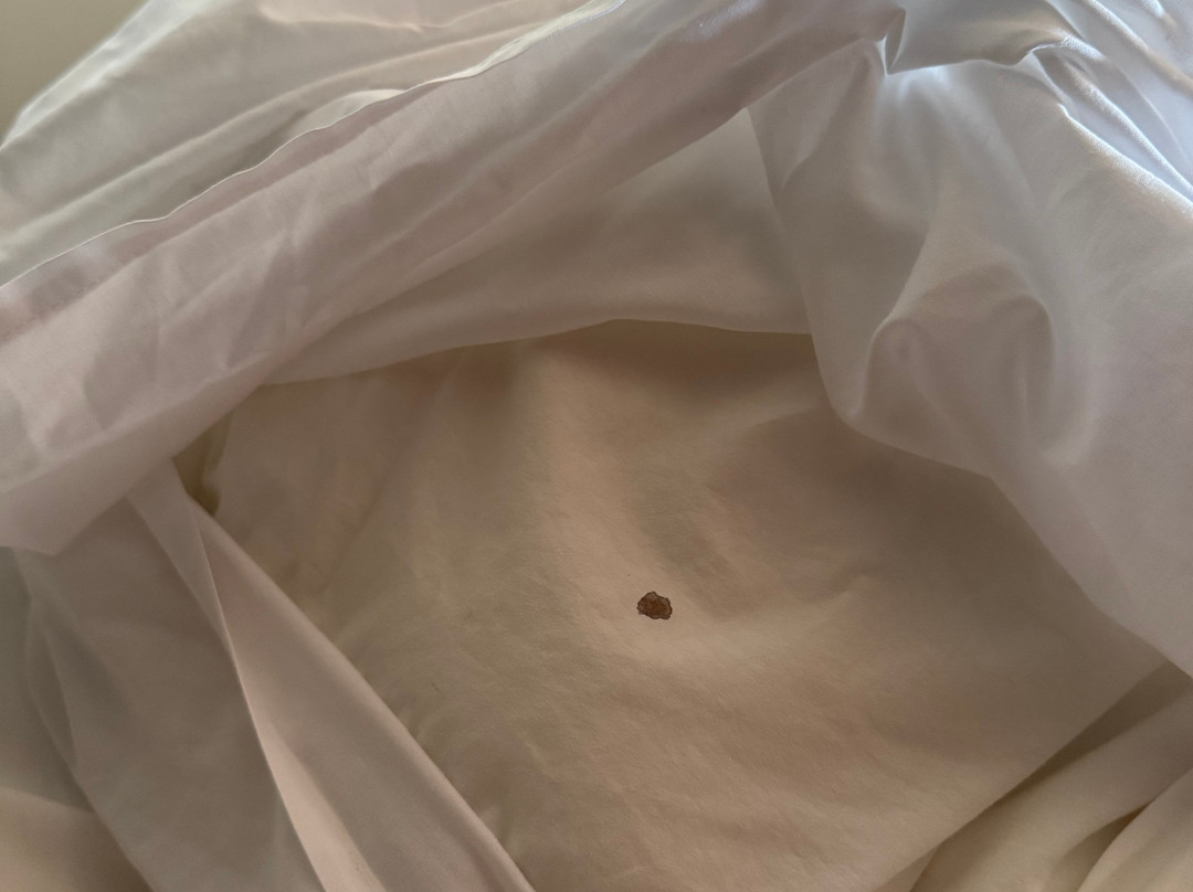 弗朗格斯酒店主图