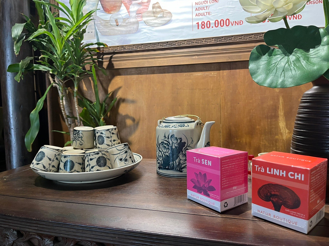 Fito Museum - Museums of Traditional Vietnamese Medicine & Pharmacy-Thuan An必去景点