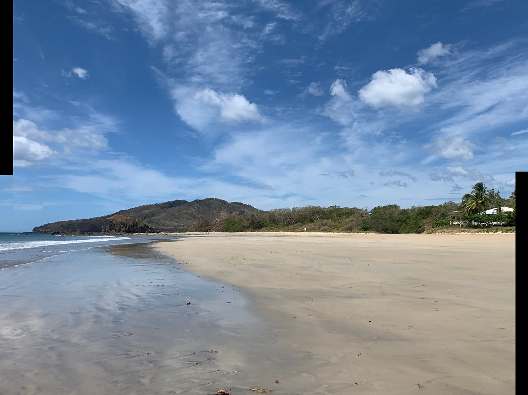 El Reinas by Sugar's Monkey主图