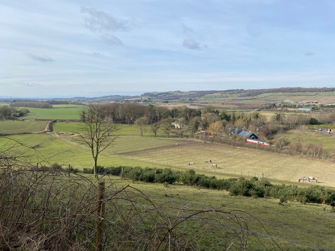Guisborough Forest景点图片