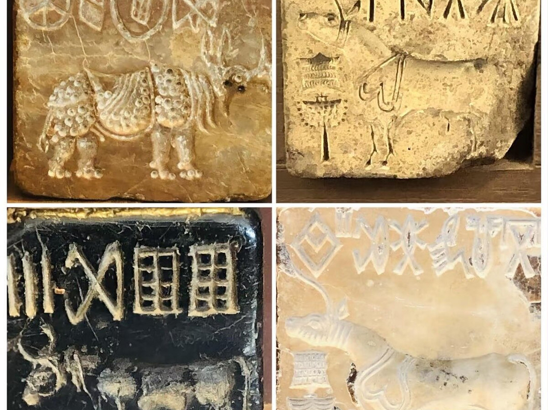 Discover Indus Tours Pakistan-Larkana必去景点