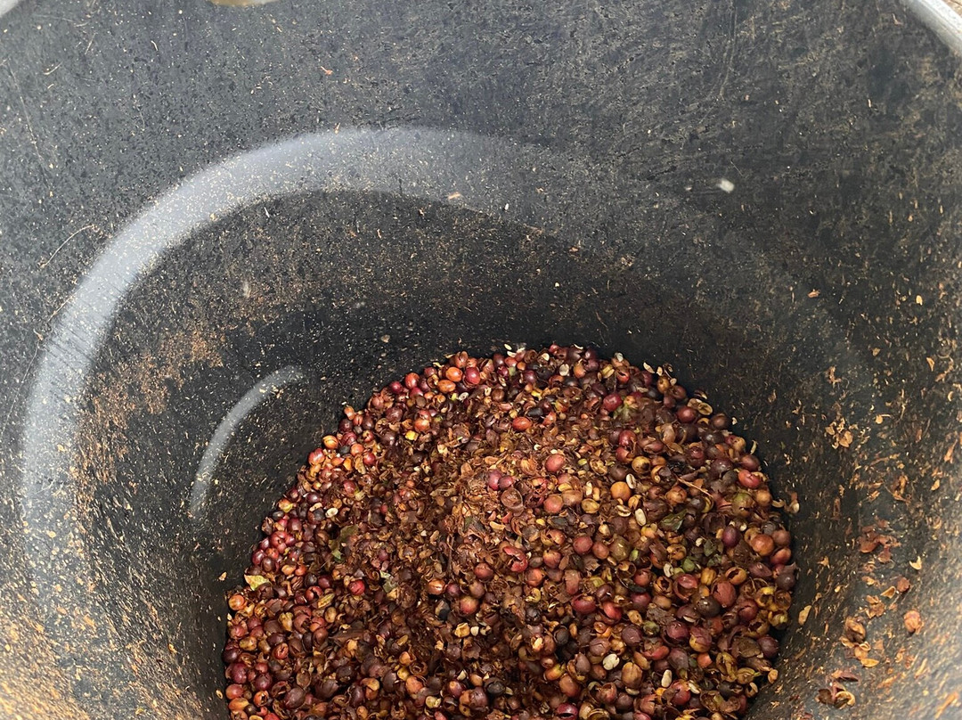 Ka'u Coffee Mill-帕哈拉必去景点