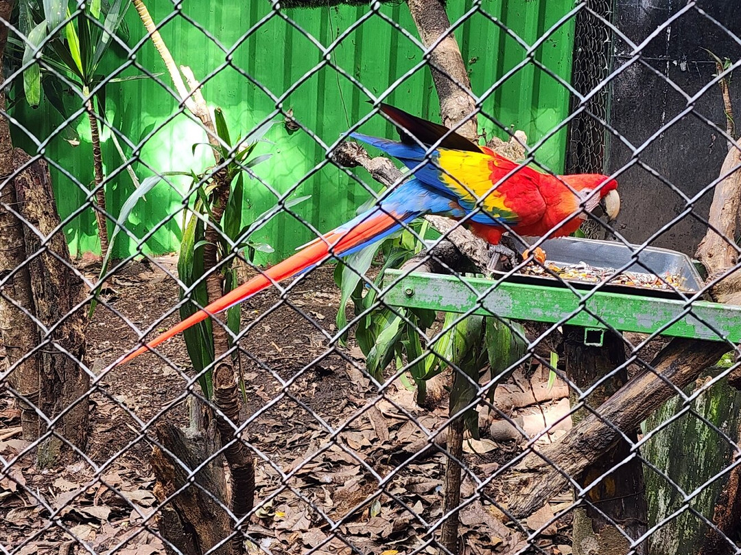 Refugio Animal De Costa Rica景点图片