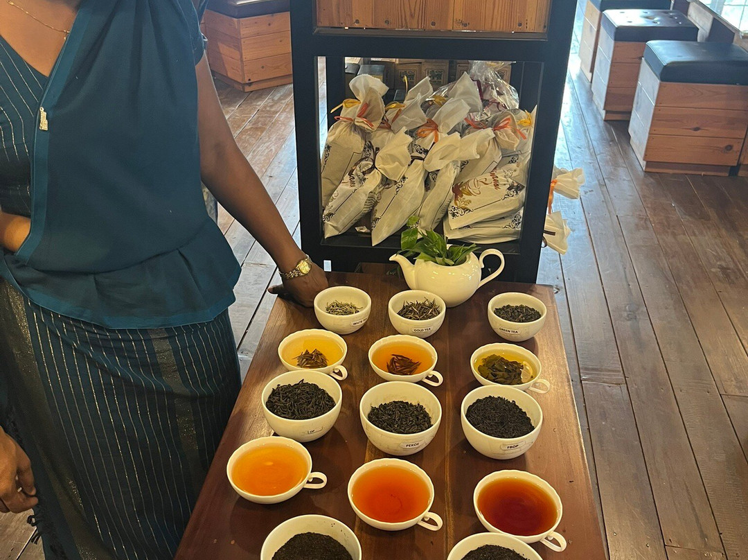 Ayaan Tours Sri Lanka-Katukurunda必去景点