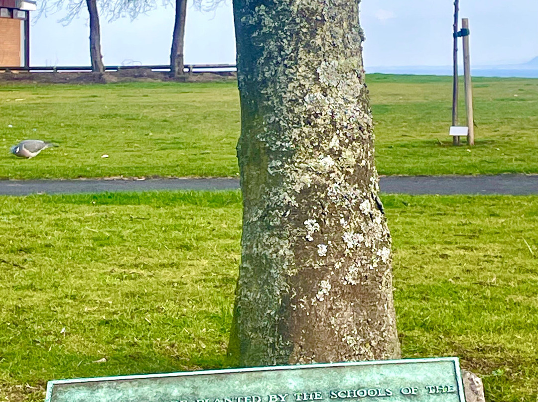 Methil Memorial Park-Leven必去景点