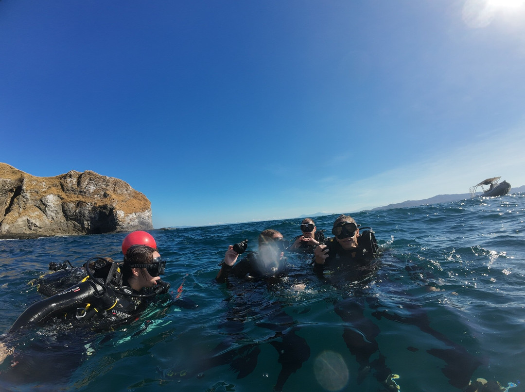 TamaDive-塔马林多必去景点