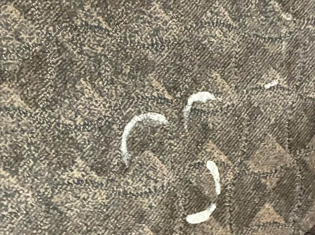 Baymont Inn & Suites by Wyndham Glen Rose主图