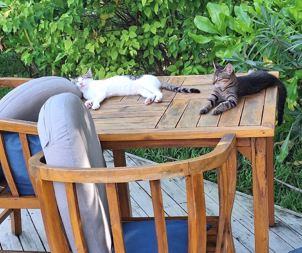 Ambassador Spa & Beauty Salon-伊斯坦布尔必去景点