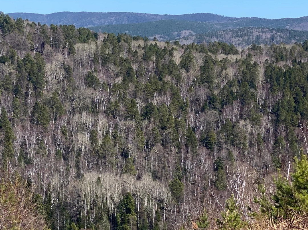 Pribaikalskiy National Park-伊尔库茨克必去景点