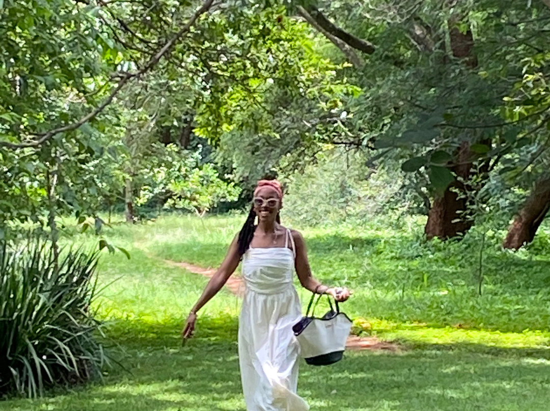 Chifwema Arboretum-卢萨卡必去景点