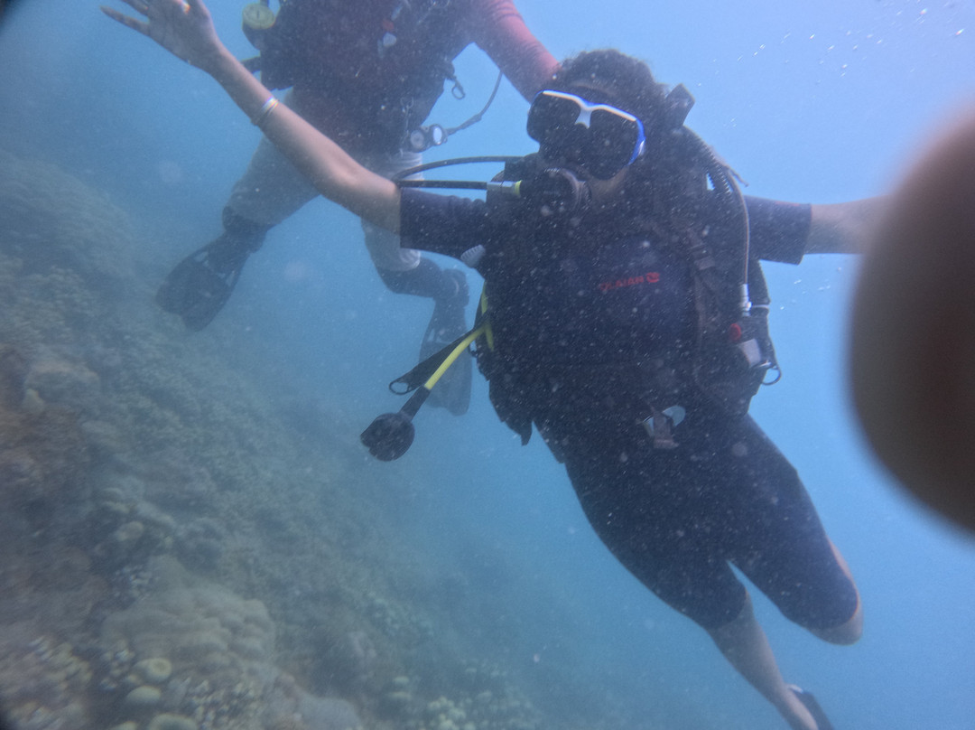 Blue Corals Dive景点图片
