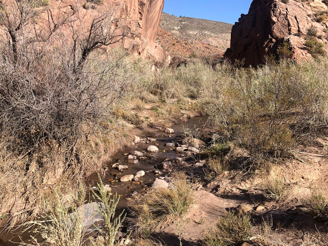 Red Rock Humvee Tours-哈里肯必去景点