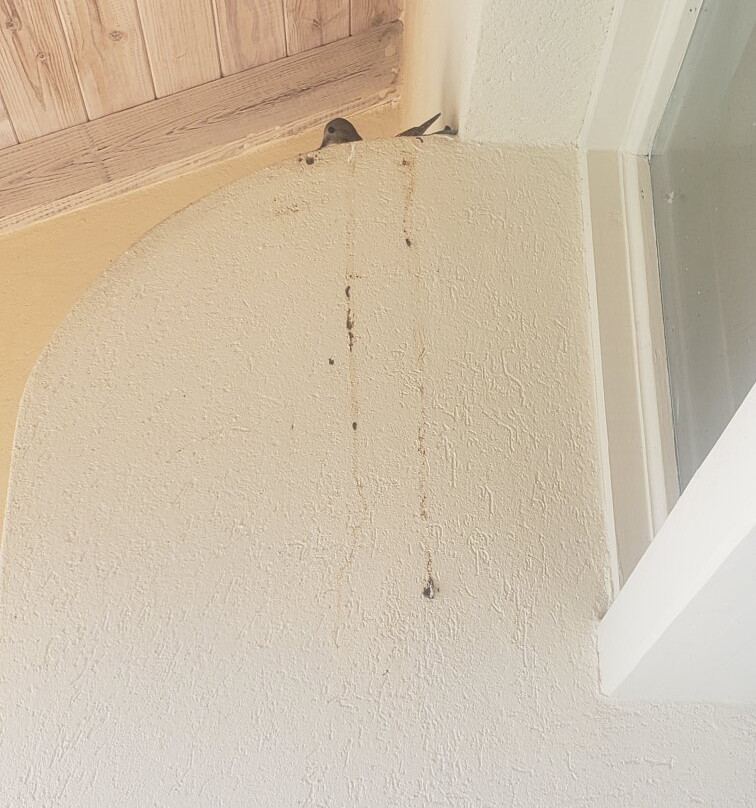 Accra Beach Hotel & Spa主图