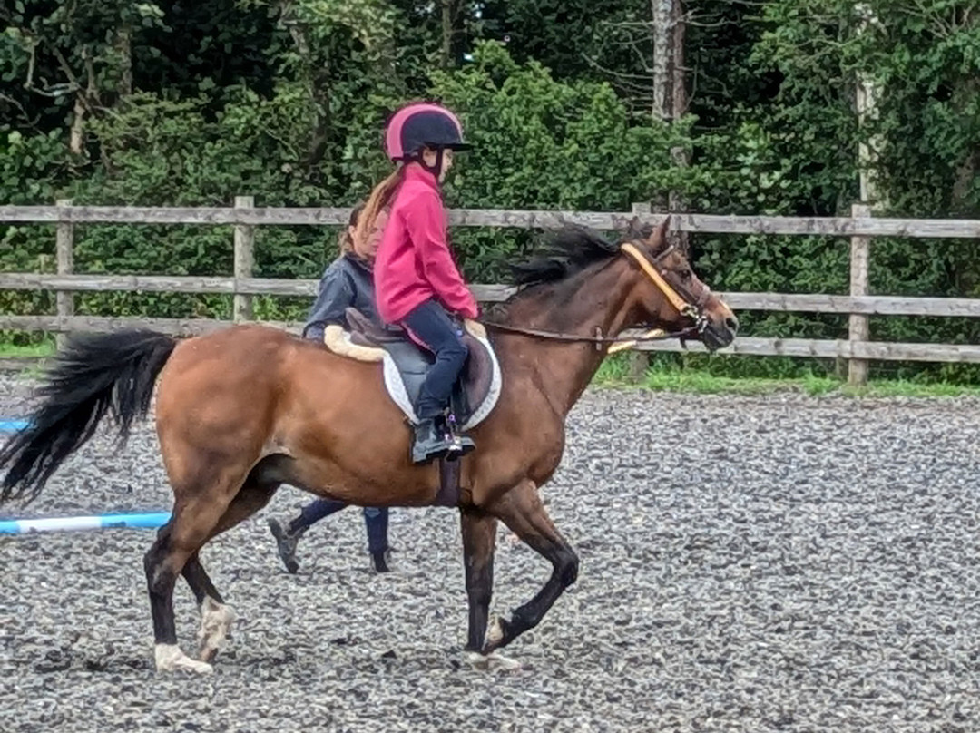 Parkers Riding School-Cockermouth必去景点