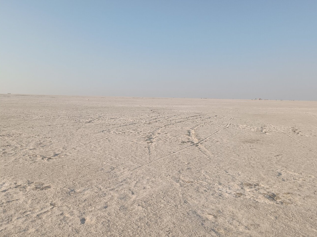White Desert Of Kutch-普杰必去景点