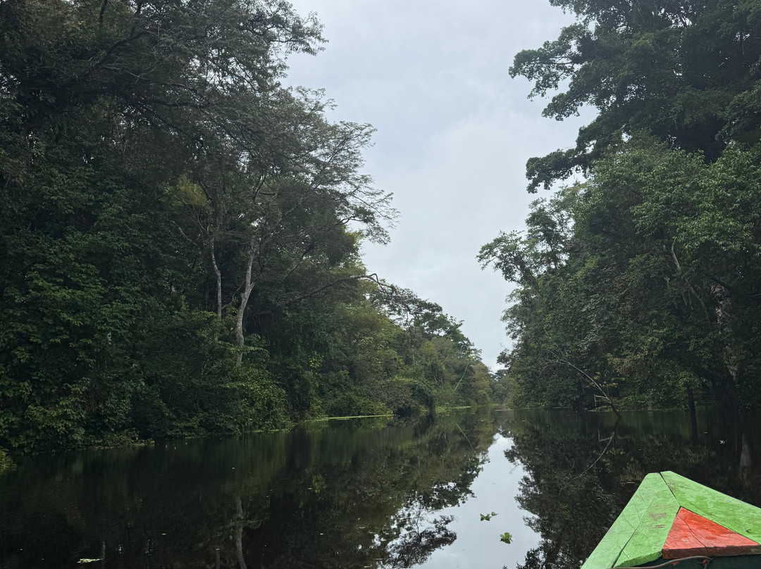 Amazonian Trails-伊基托斯必去景点
