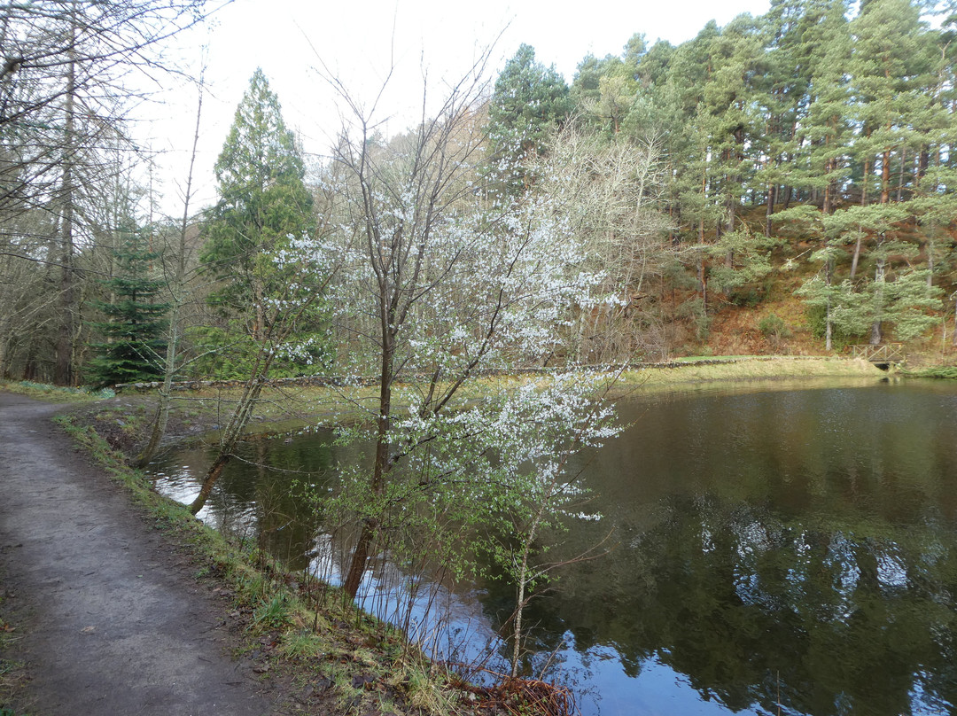 Millbuies Trout Fishery, Moray Fly Fishers-埃尔金必去景点