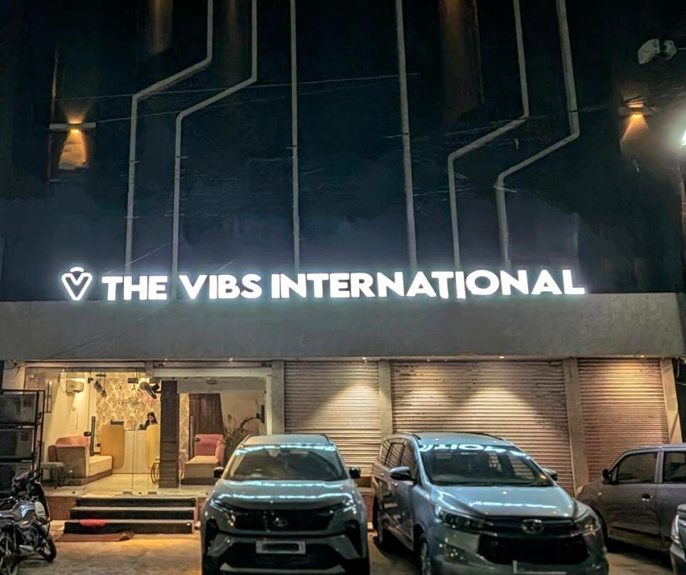 The Vibs International