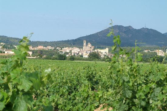 Hotel Restaurant La Placa主图