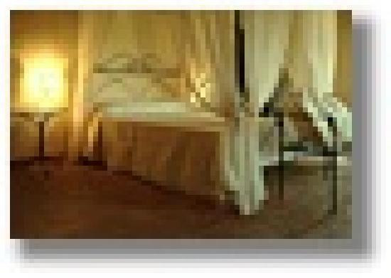 Fattoria Conio Agriturismo podere Capannuccia主图