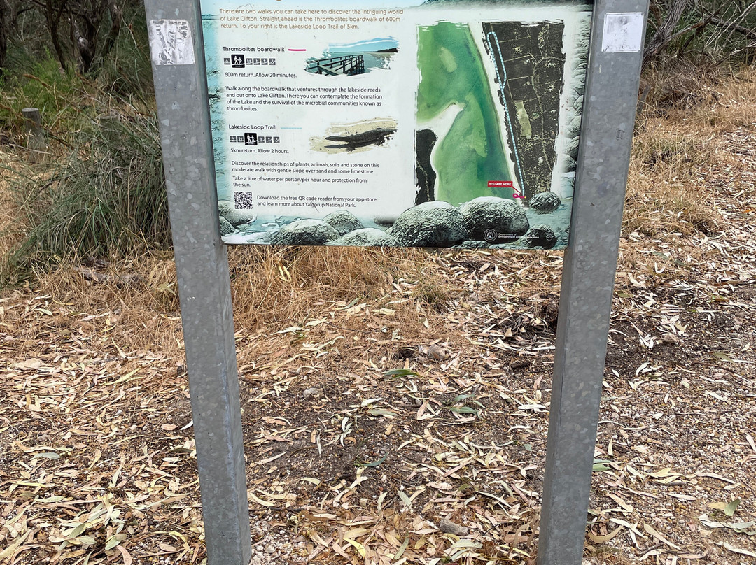 Lake Clifton-Yalgorup National Park必去景点