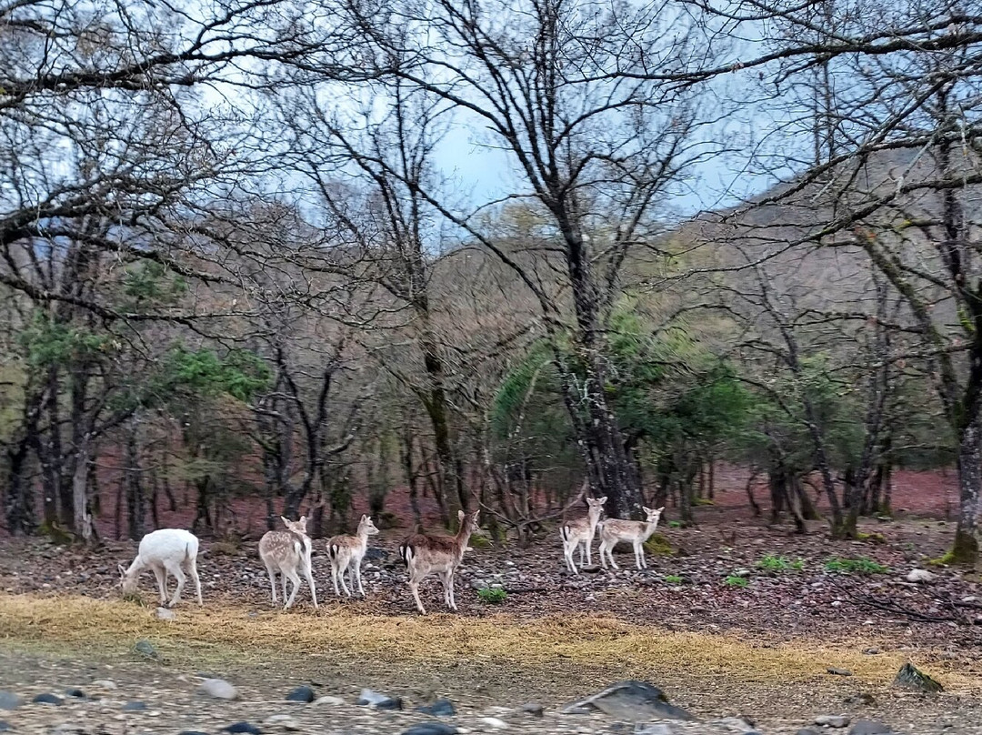 Bourazani Wild Life Resort主图
