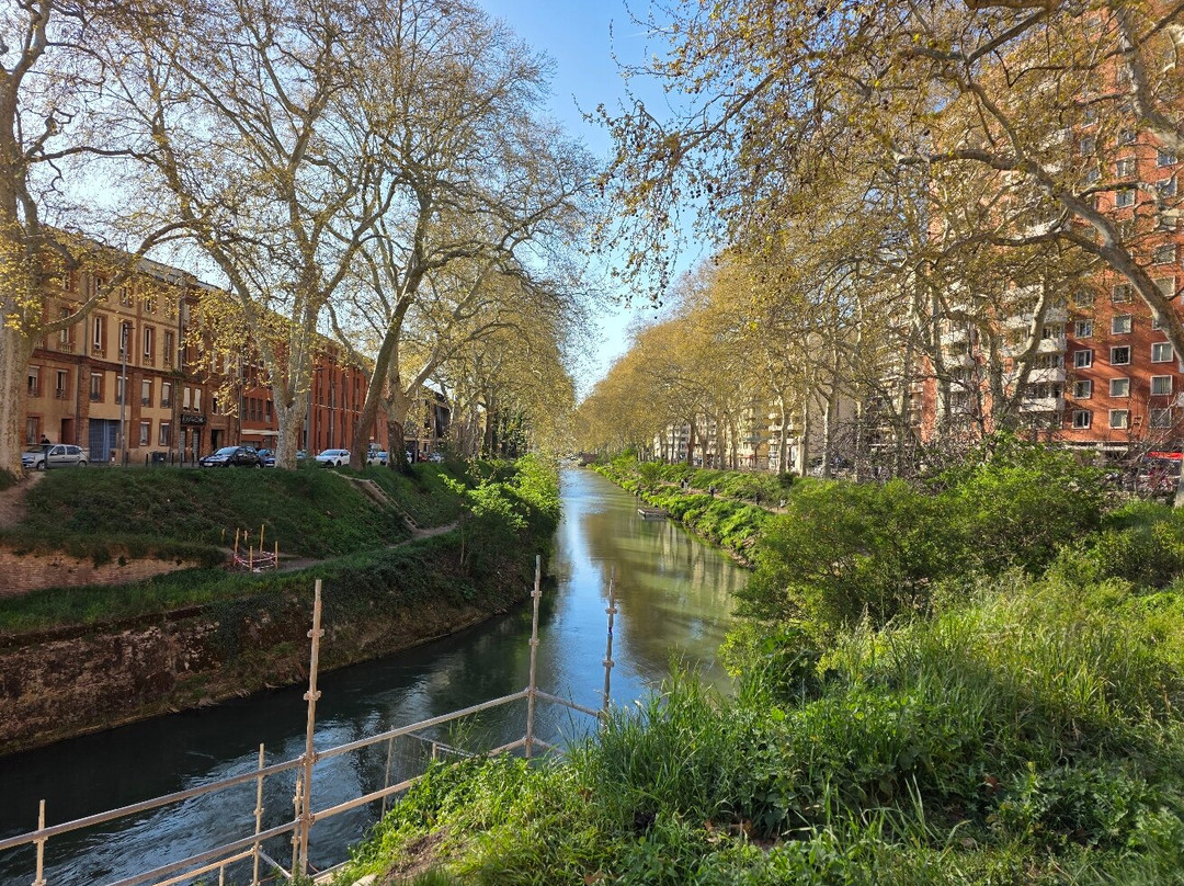 Canal de Brienne (Le)-图卢兹必去景点