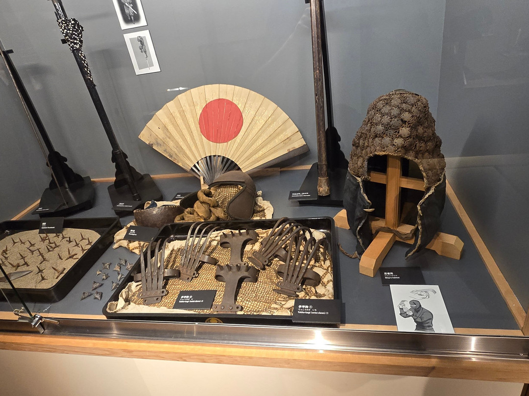 Ninja Weapon Museum景点图片