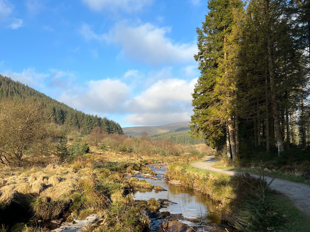 Hafren Forest-Llanidloes必去景点