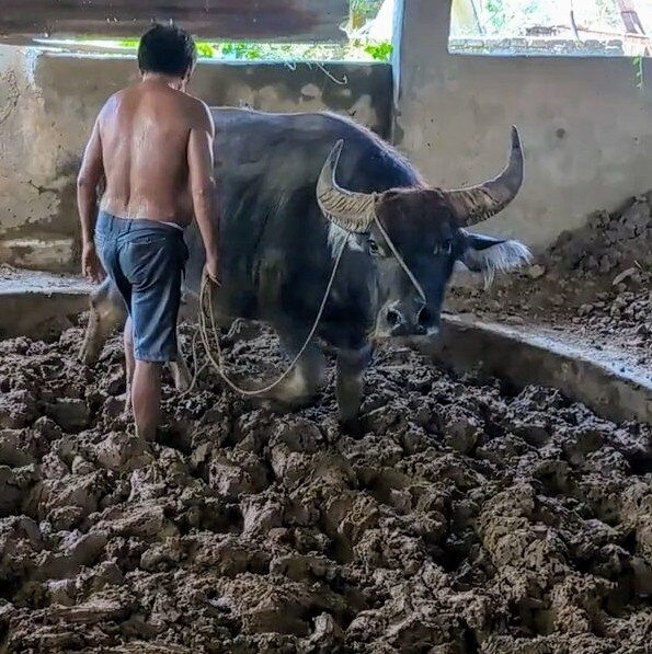 RG Jar Factory-维甘必去景点