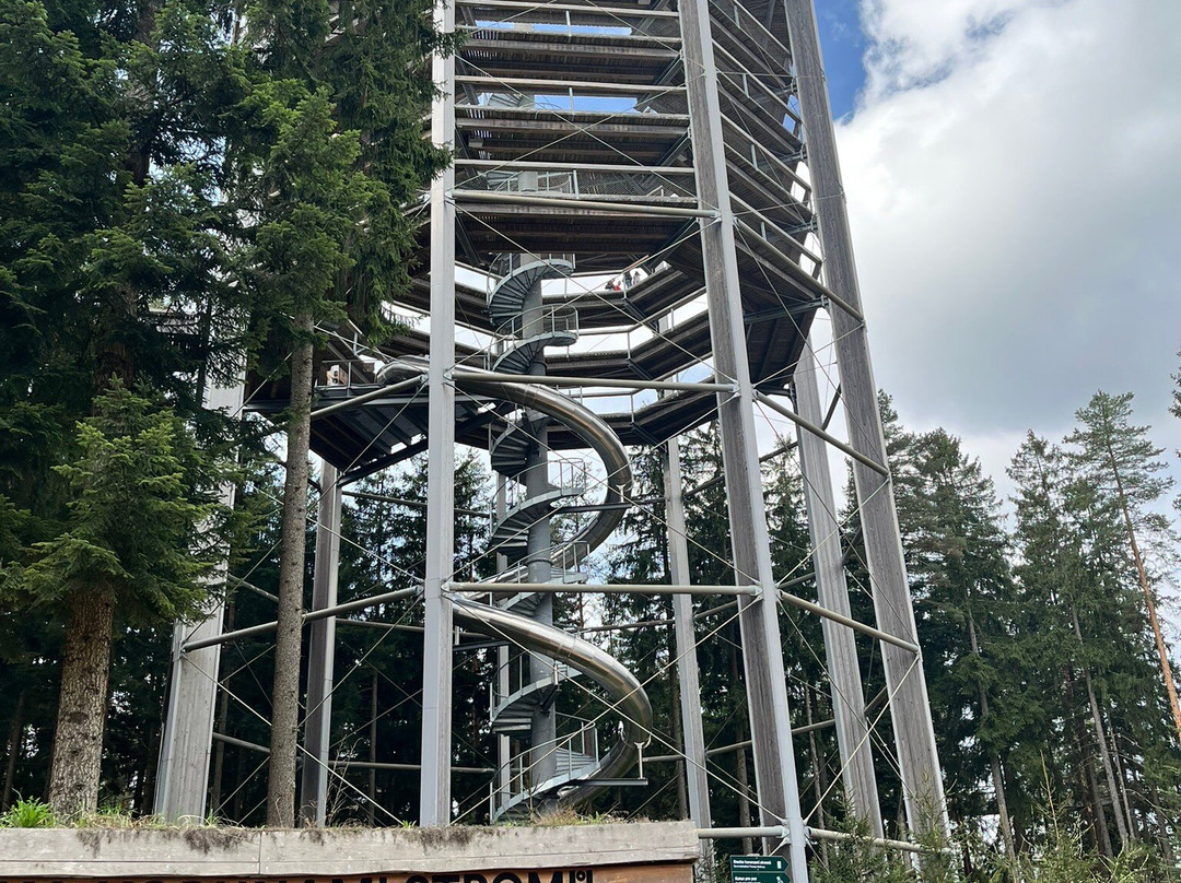 Treetop Walkway-利诺纳佛塔沃必去景点