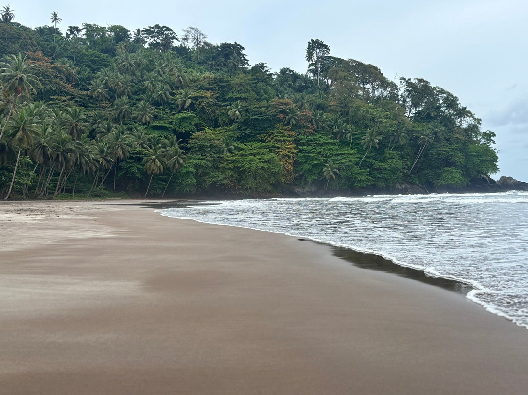 Praia Das Sete Ondas景点图片