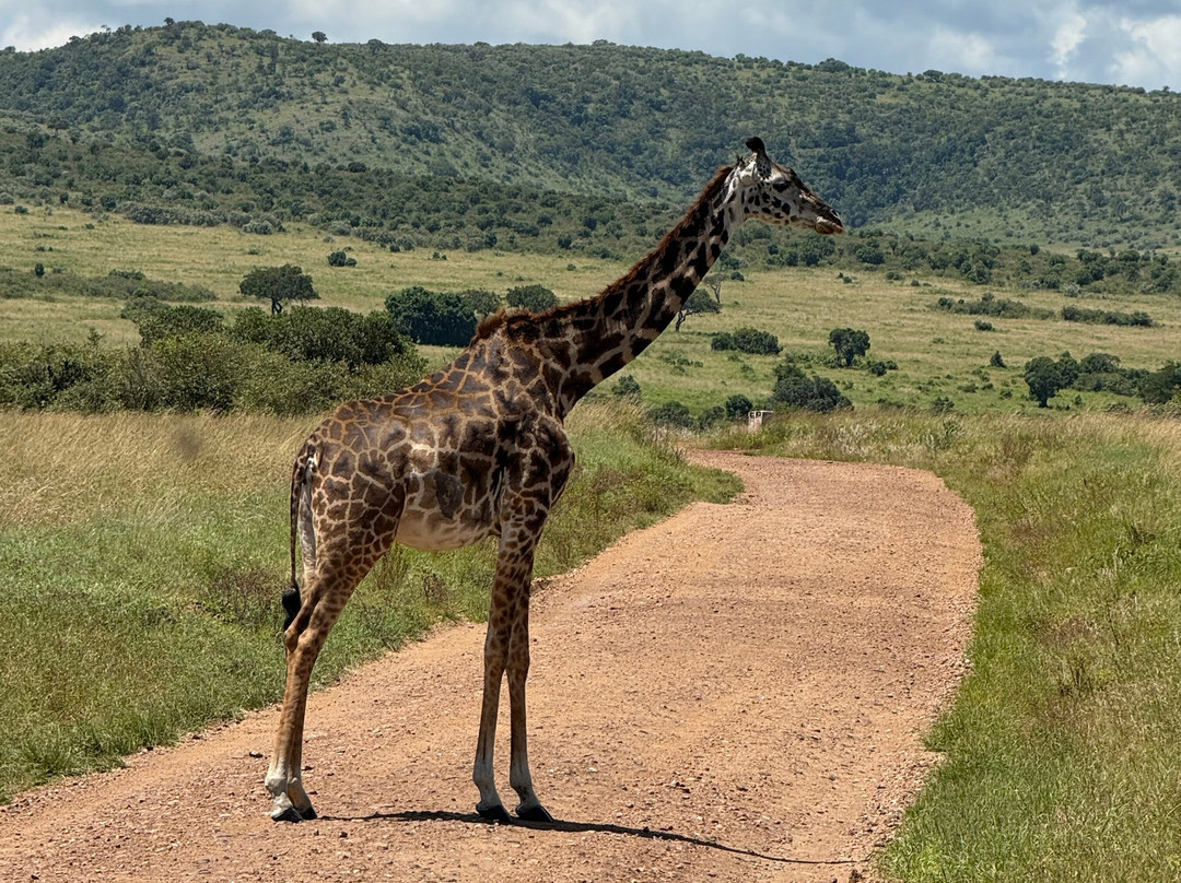 Elohim Tours & Travel-纳库鲁必去景点