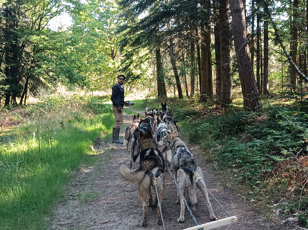 Sled Dog Ride-Saint-Symphorien必去景点